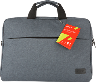 Сумка Canyon B-4 для ноутбука 15.6" Gray