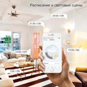 Умная лампочка Gauss Smart Home Filament Diamond FIL DIM E27 Transparent