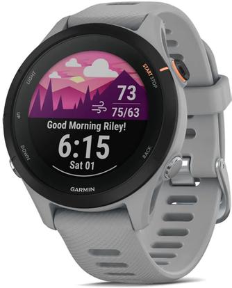 Умные часы Garmin Forerunner 255S 41mm Powder Gray