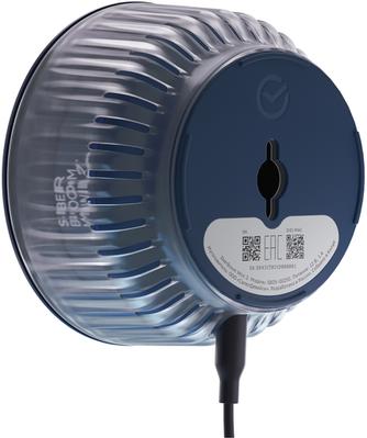 Умная колонка SberBoom Mini 2, с Салют Титановый синий
