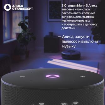 Умная колонка Яндекс Станция Мини 3 «Чёрный»