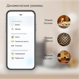 Умная лампочка Gauss Smart Home Filament Diamond FIL DIM E27 Transparent