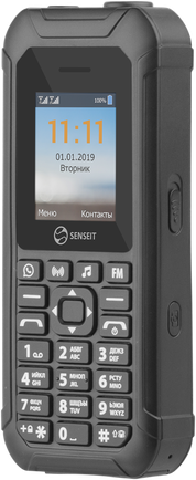 Мобильный телефон Senseit L250 Black