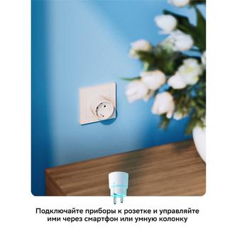 Умная розетка Sber SBDV-00123W белая