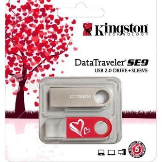 USB-накопитель Kingston DataTraveler SE9 16Gb