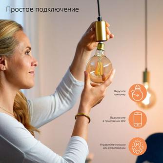 Умная лампочка Gauss Smart Home Filament Diamond FIL DIM E27 Transparent