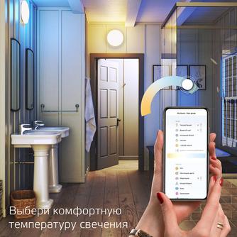 Умный светильник Gauss Smart Home CL DIM CCT White