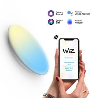 Умный светильник Gauss Smart Home CL DIM CCT White