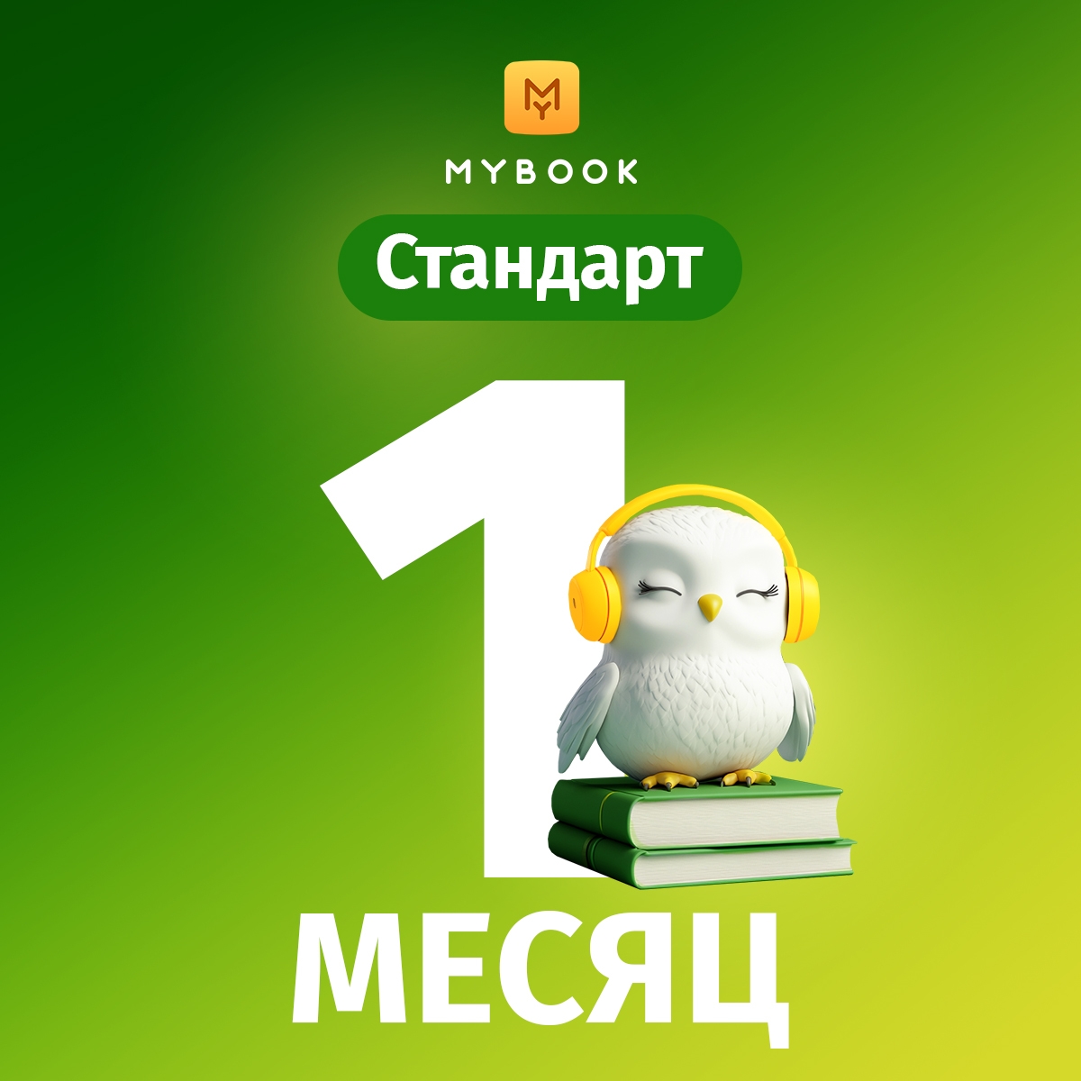 «Стандарт» на 1 месяц