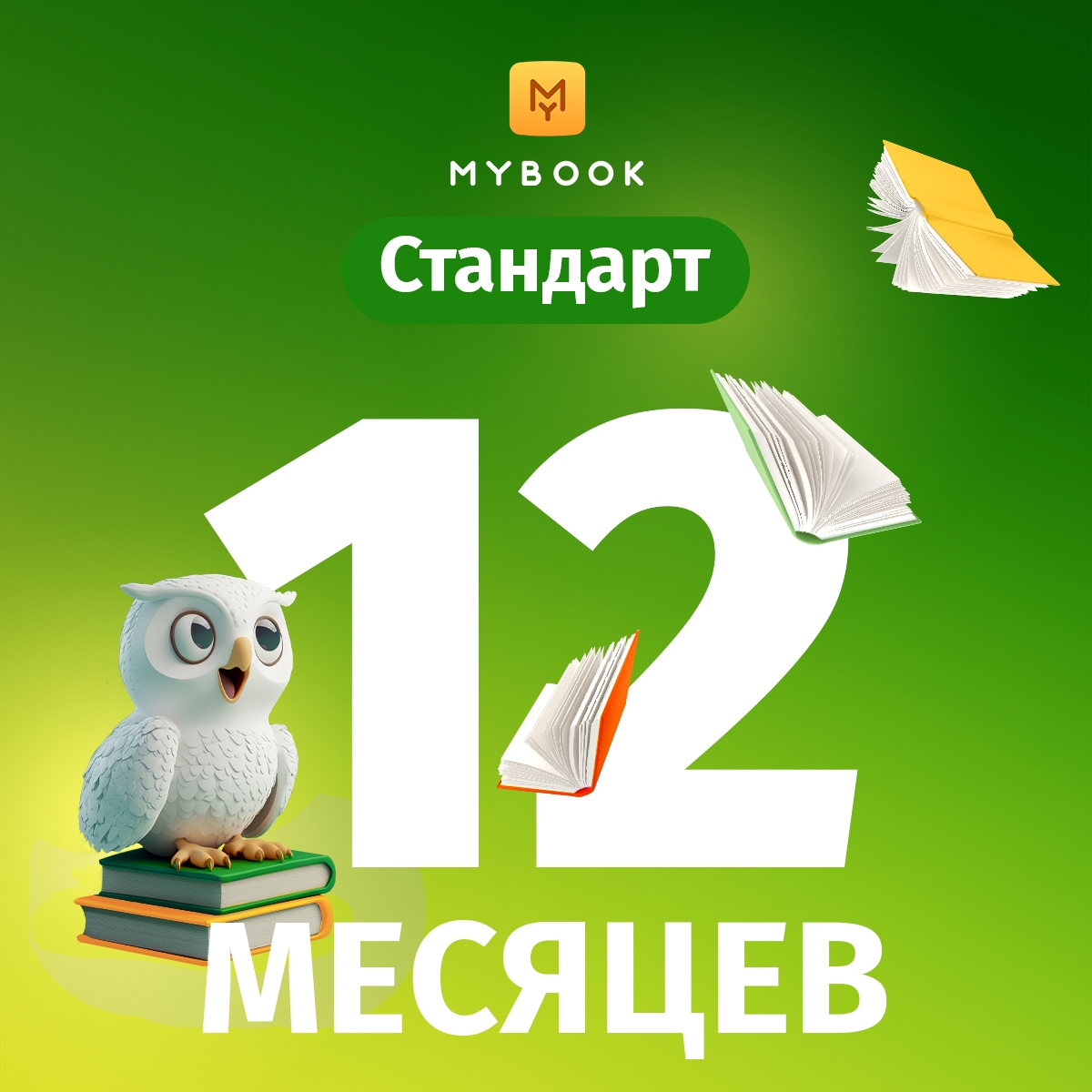 «Стандарт» на 12 месяцев