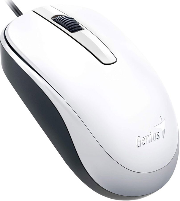 цена Компьютерная мышь Genius DX-120 White