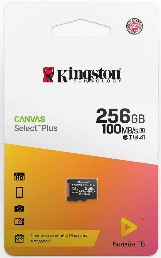 Canvas Select Plus microSDHC UHS-I Class 10 256GB + подписка билайн тв на 2 месяца кино и тв билайн подписка билайн тв 4в1 30 дней