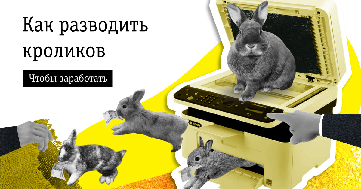 Как разводить кроликов в яме: технология и особенности