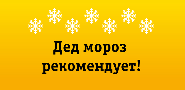 Акция «Новогодний подарок со скидкой 25%»