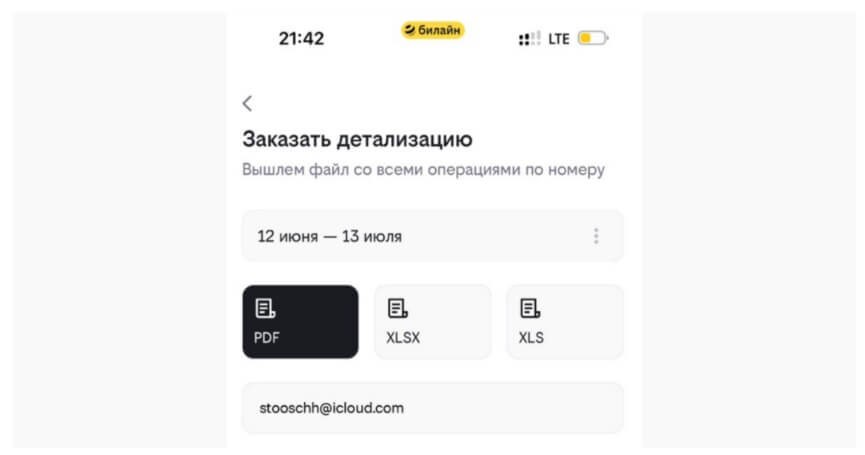 Детализация счёта «Билайн» за год за 12 тысяч рублей
