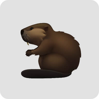 undefined, Slava Skripka